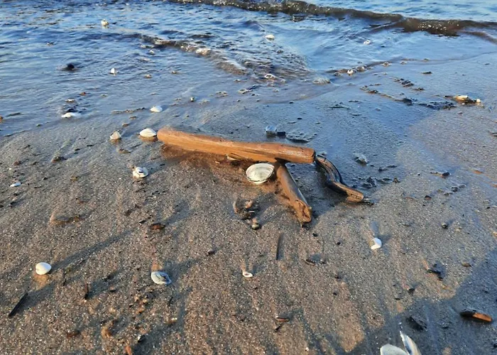 Miejscowka Nad Morzem Two Near The Sea *